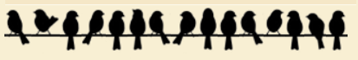 Birds on a Wire