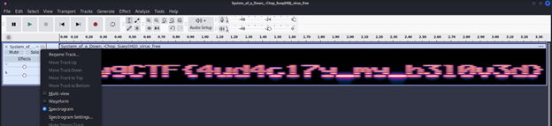 Spectrogram View in Audacity